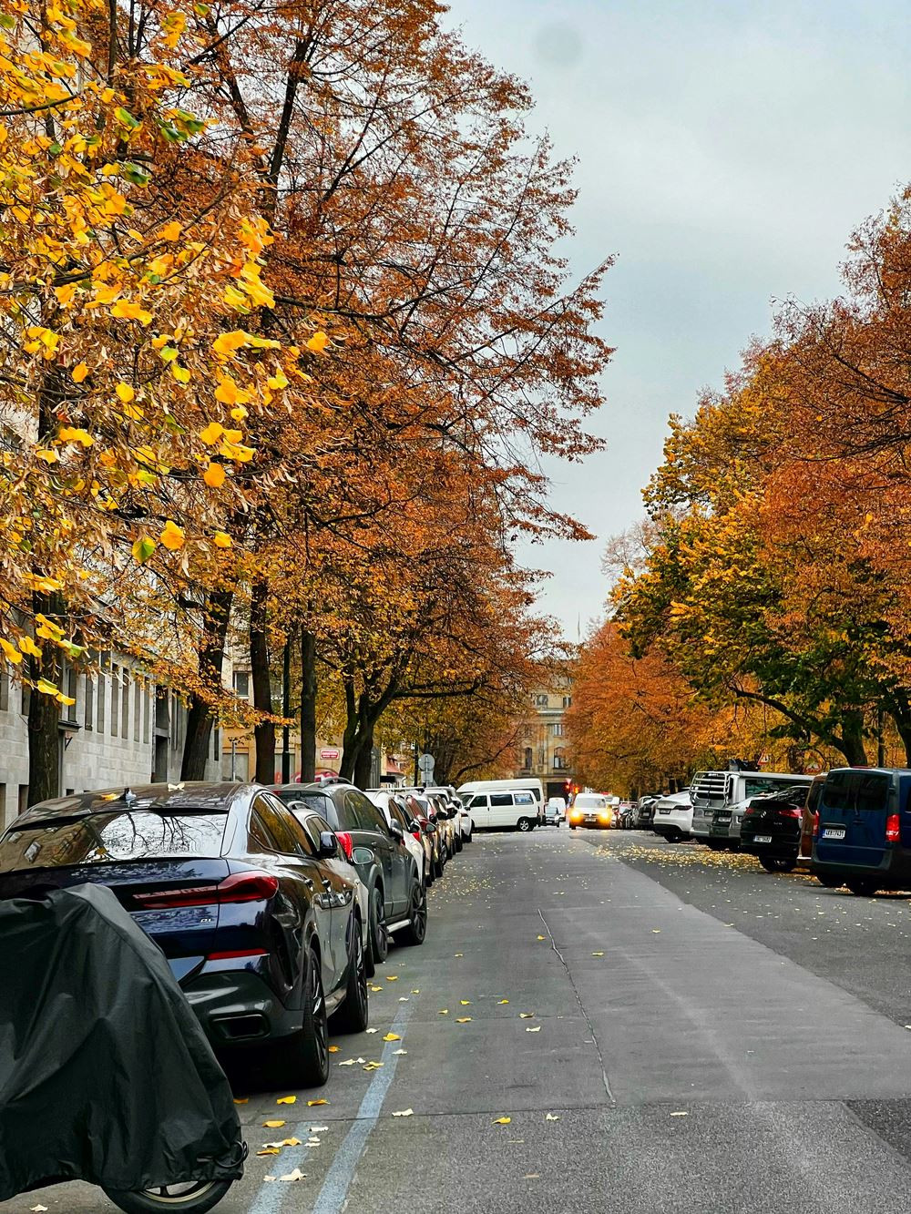 Le marché 2025 des véhicules d'occasion en légère hausse de 0,7% à 5 437 041 immatriculations
