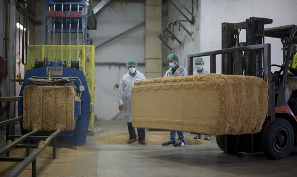 Des pièces détachées de voitures fabriquées à partir de cosse de riz