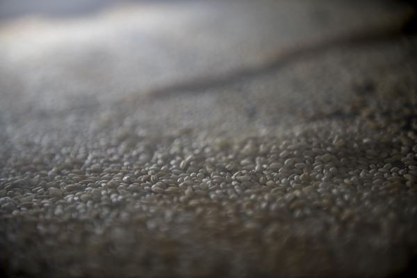 Des pièces détachées de voitures fabriquées à partir de cosse de riz