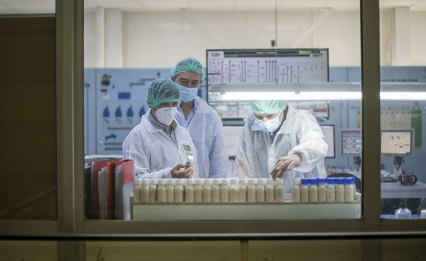 Des pièces détachées de voitures fabriquées à partir de cosse de riz