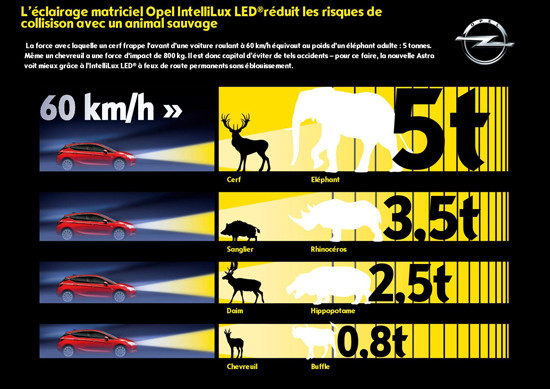 L’éclairage adaptatif matriciel à LED réduit les risques d’accidents avec les animaux sauvages
