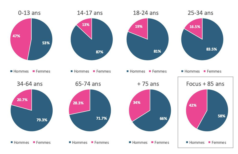 84 % des auteurs présumés d'accidents mortels sur la route sont des hommes