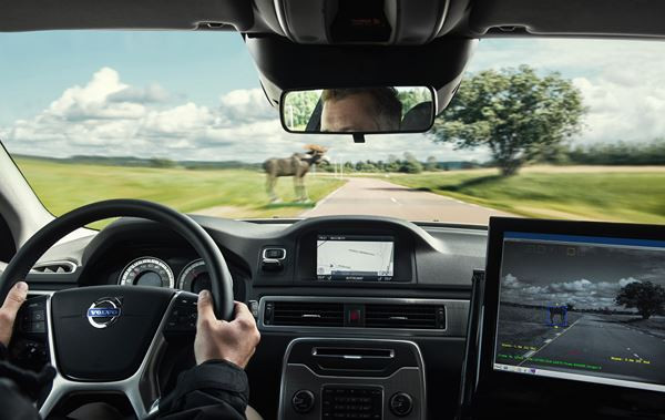 La détection des animaux Volvo déclenche un freinage automatique face à des animaux