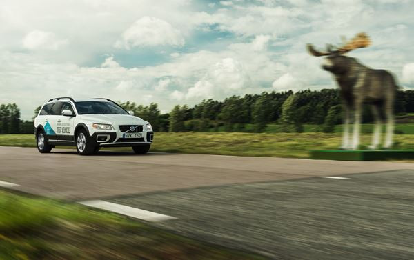 La détection des animaux Volvo déclenche un freinage automatique face à des animaux