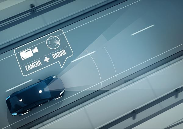 La détection des animaux Volvo déclenche un freinage automatique face à des animaux