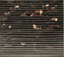 L’air respiré dans une voiture est 6 fois plus pollué que l’air respiré à l’extérieur