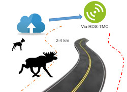 Le système « Animal Warning » V-Traffic alerte sur la présence d'animaux sauvages